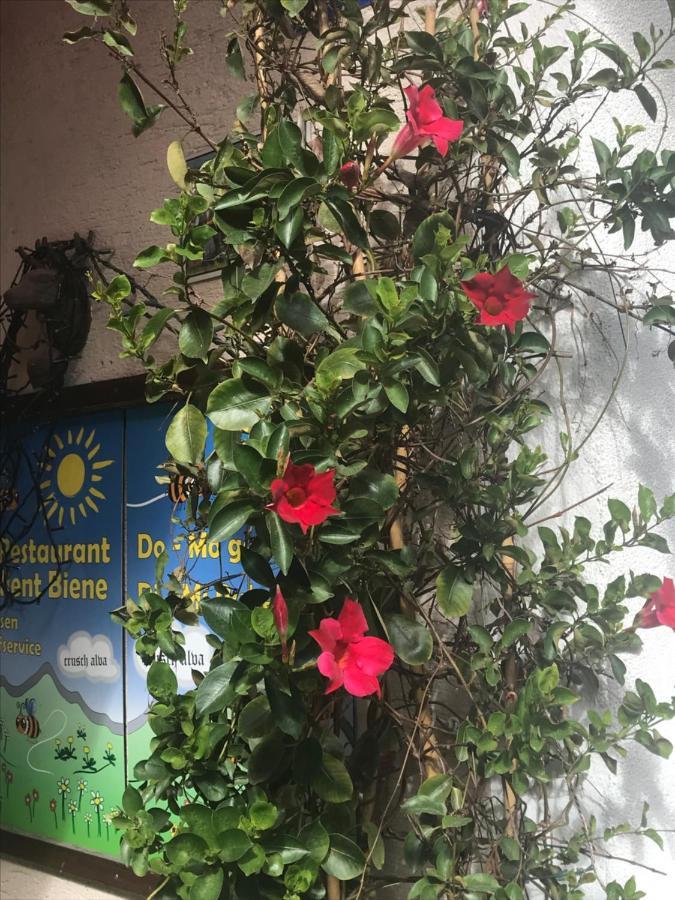 Alte Post Mit Geschichte Und Restaurant Apartment Tavanasa Luaran gambar